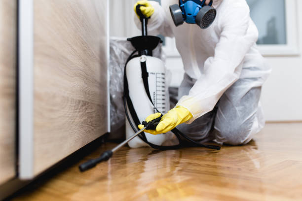  Elm City, NC Pest Control Pros