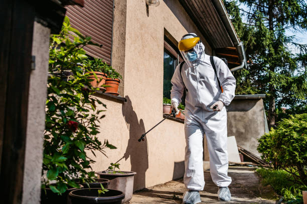 Trusted Elm City, NC Pest Control Experts