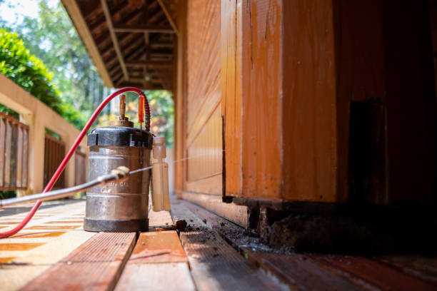 Best Pest Inspection Near Me  in Elm City, NC