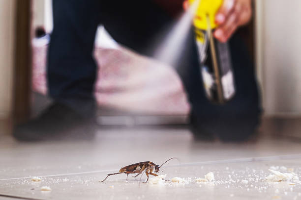 Best Pest Control Treatment  in Elm City, NC