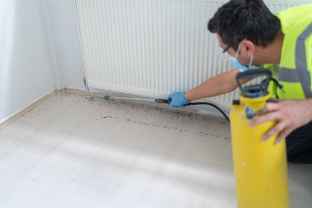 Best Termite Control Services  in Elm City, NC