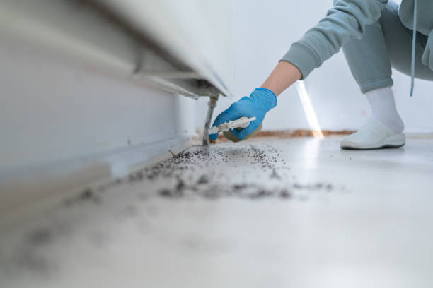 Best Affordable Pest Control Services  in Elm City, NC